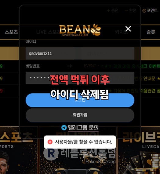 빈카지노 먹튀 자료
